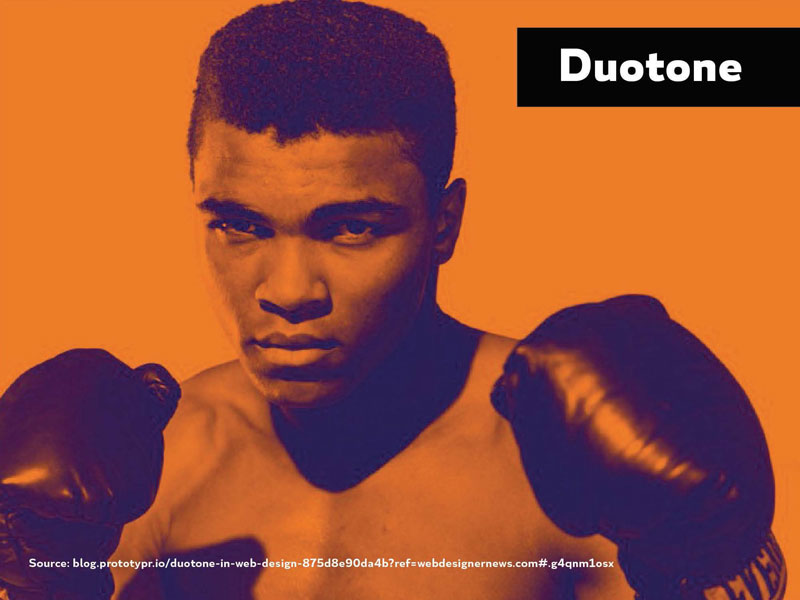 The Real Story Behind Ten Design Trends From image 2016 Design Trends - Duotone1