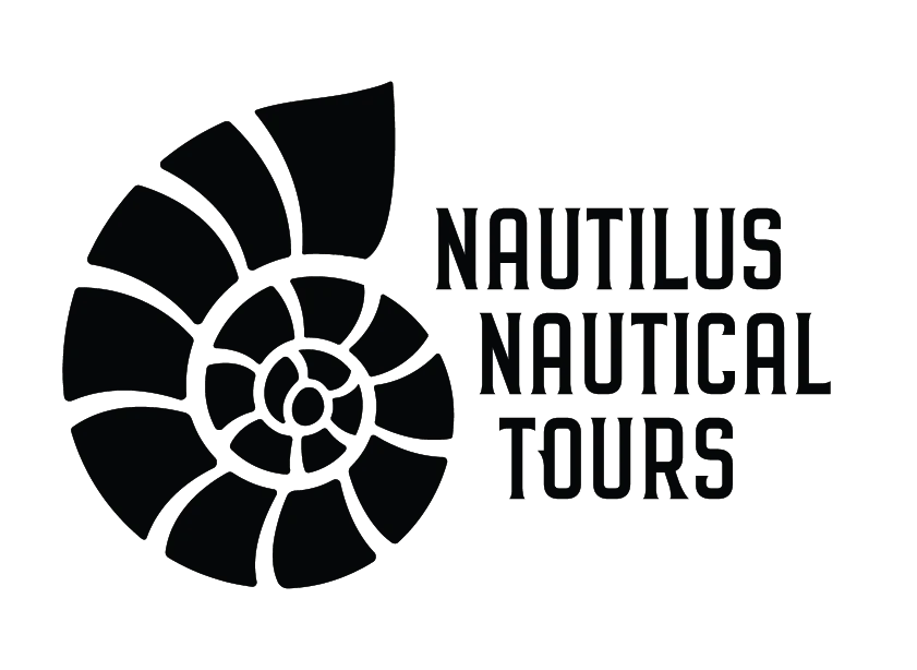 A Deep Dive Into Google My Business Listings image Google My Business Nautilus Nautical Tours
