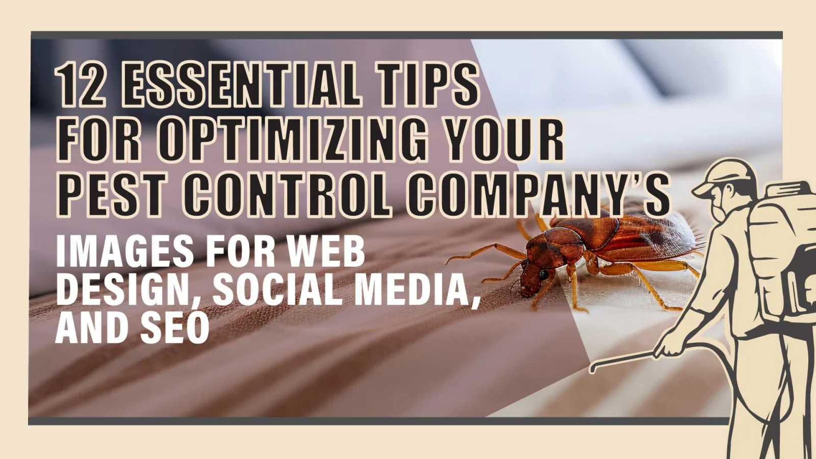 12 Tips to Optimize Your Pest Control Company&rsquo;s Images for Better SEO