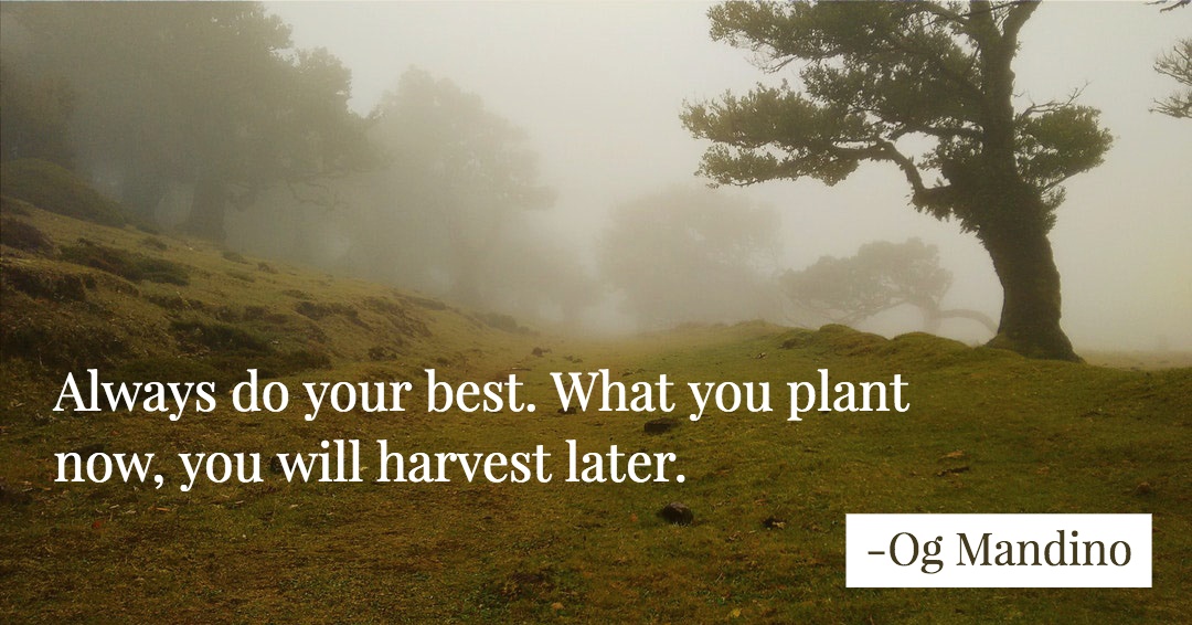 Quotes to Get Through a Manic: Avoid These Costly Mistakes image Always do your best. What you plant now, you will harvest later. –Og Mandino quote