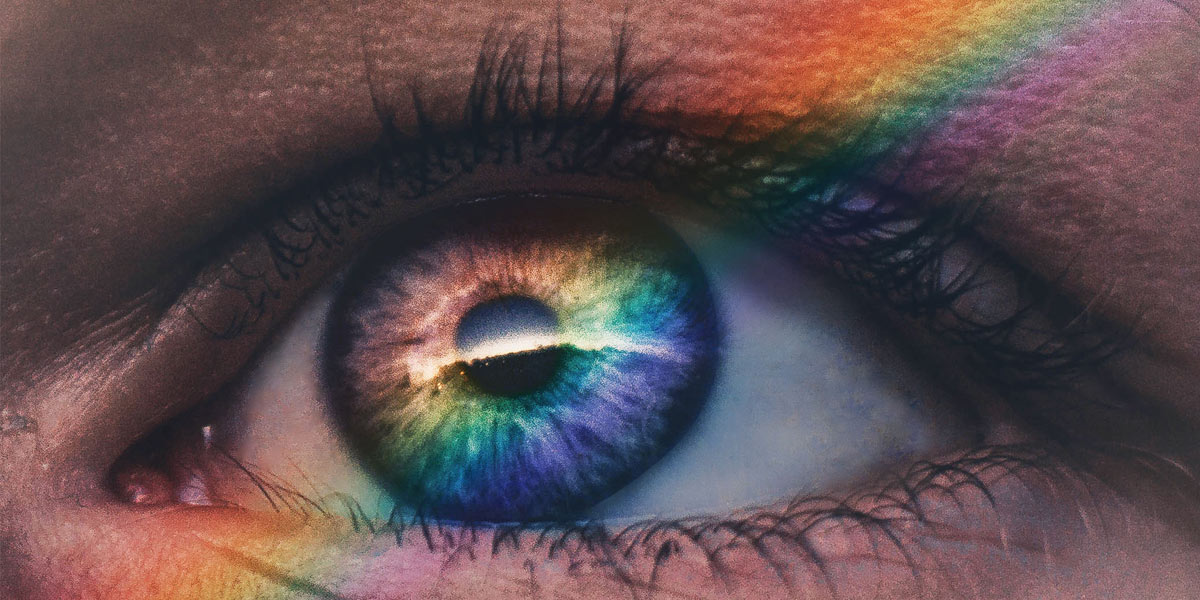 Color and Website: Real Examples From Real Businesses image Color and Genetics