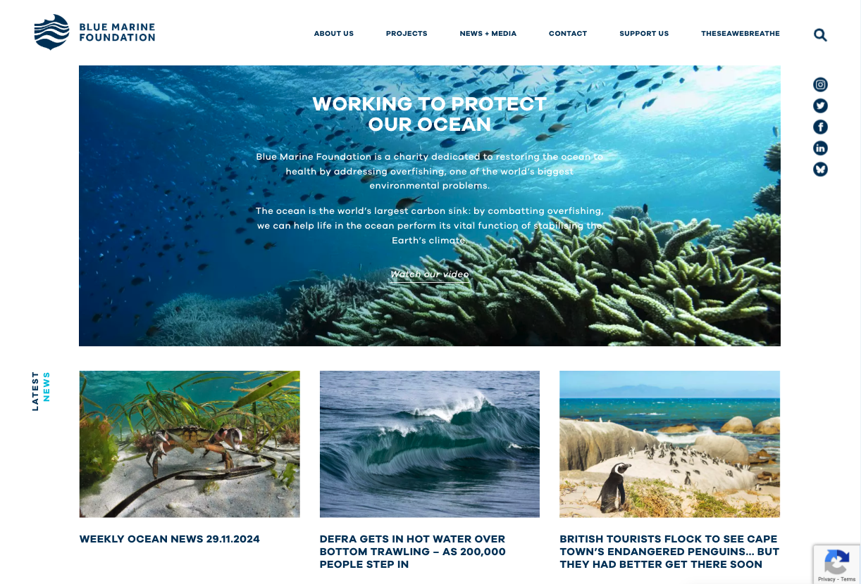 Make Your Website More Engaging: Expert Tips & Tools image Image 8