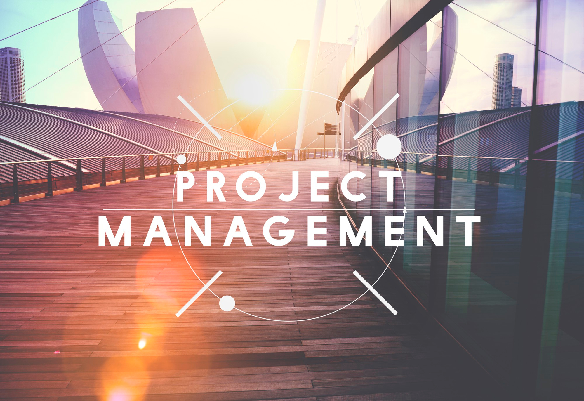 Project Management for Small Businesses: Trends and Best Practices