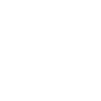 Lead Nuturing Icon