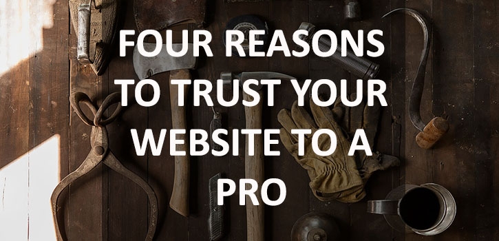 professional web design and development asheville wilkesboro taylorsville nc