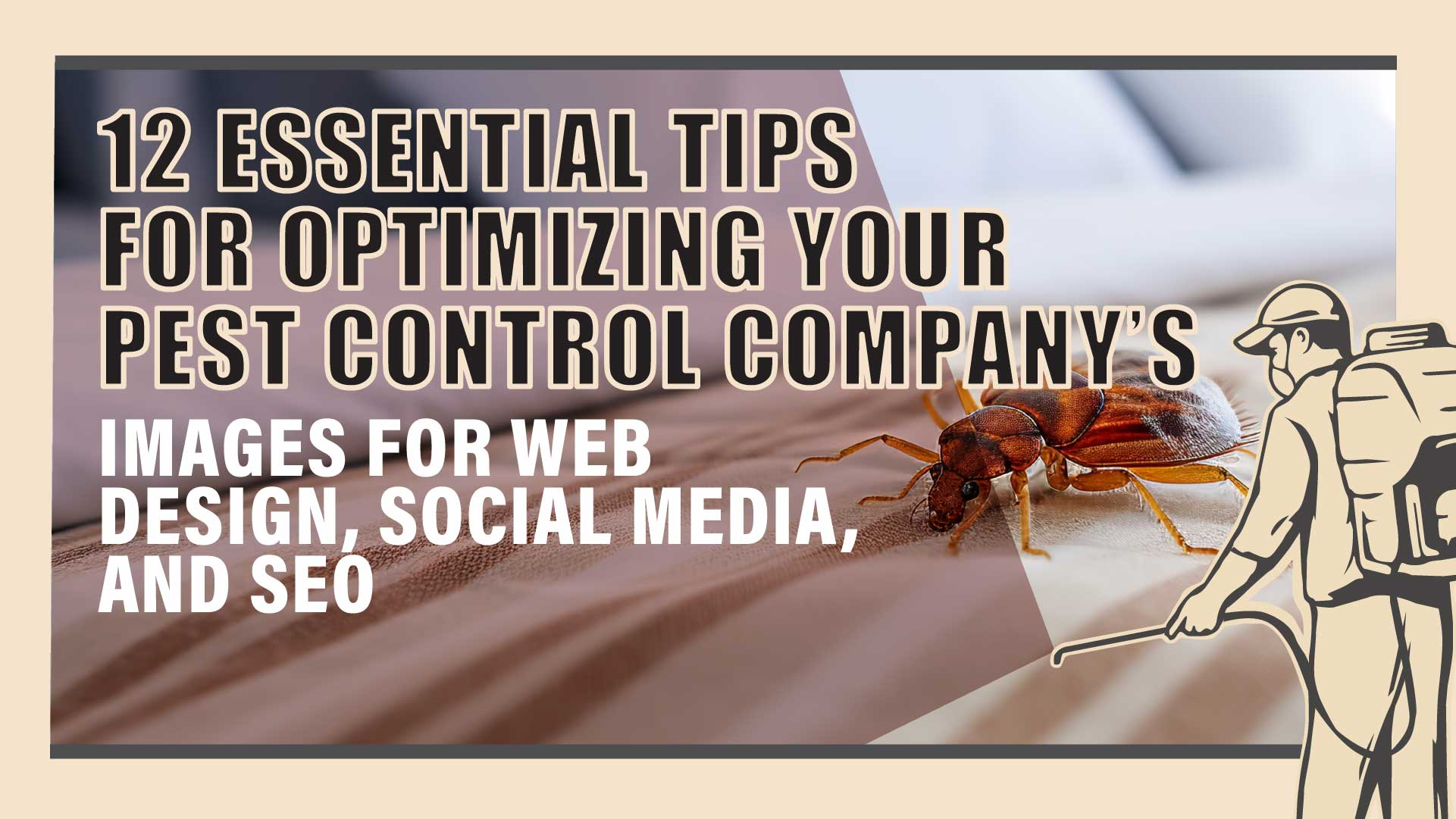 12 Tips to Optimize Your Pest Control Company&rsquo;s Images for Better SEO