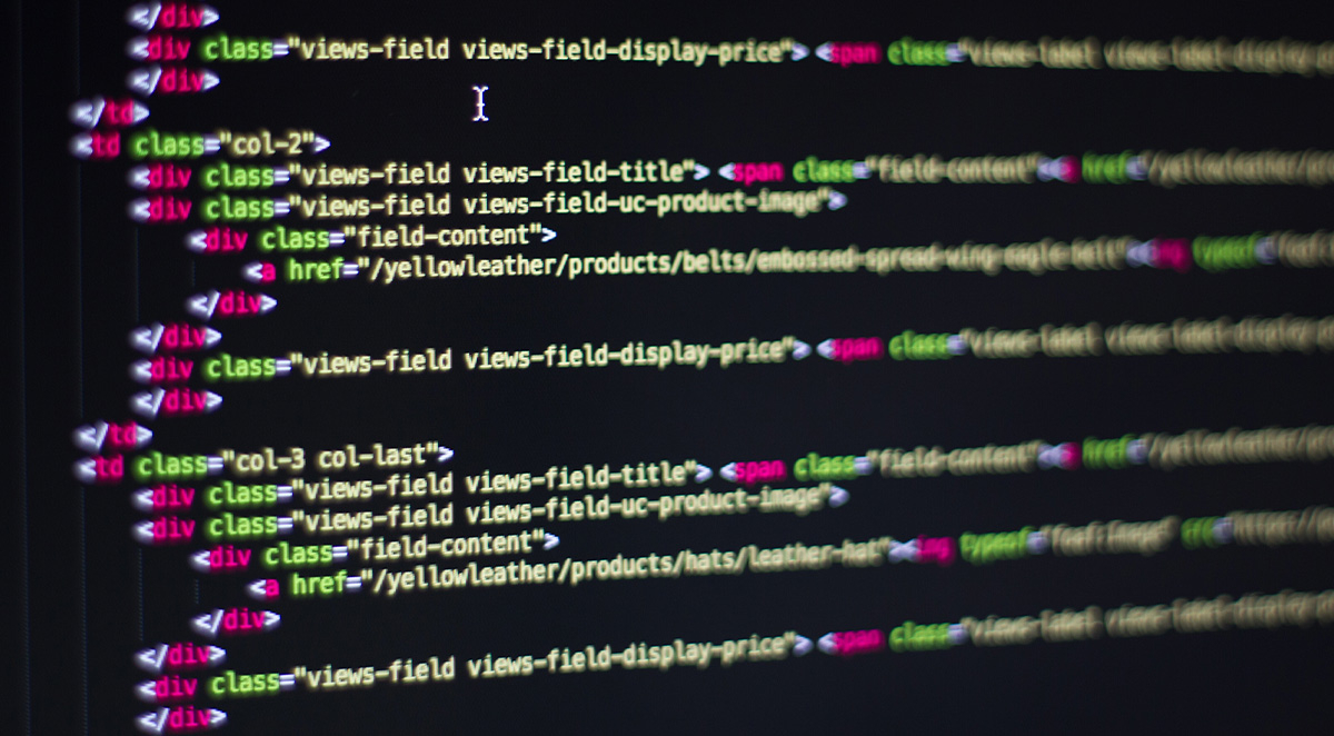 Building My Website: Go DIY or Let Pros Do It?
