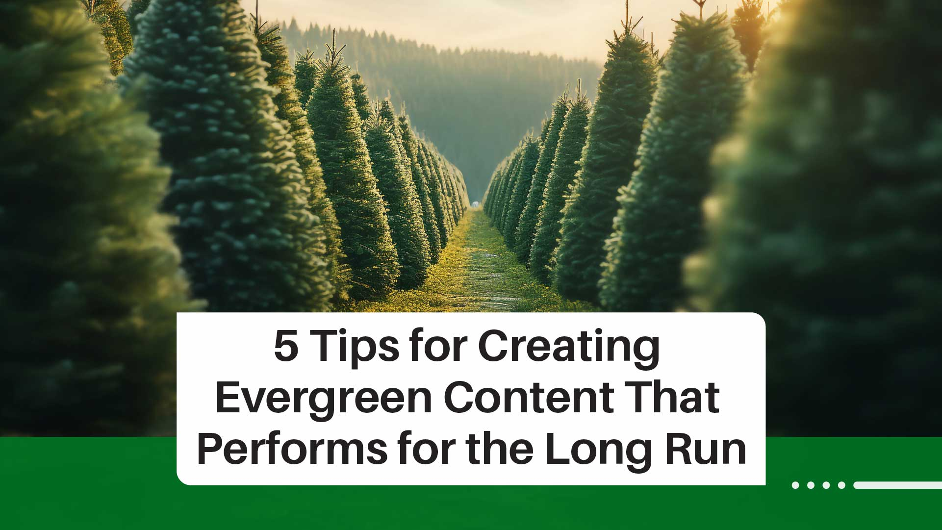 Evergreen Content: 5 Keys to Long-Term Success
