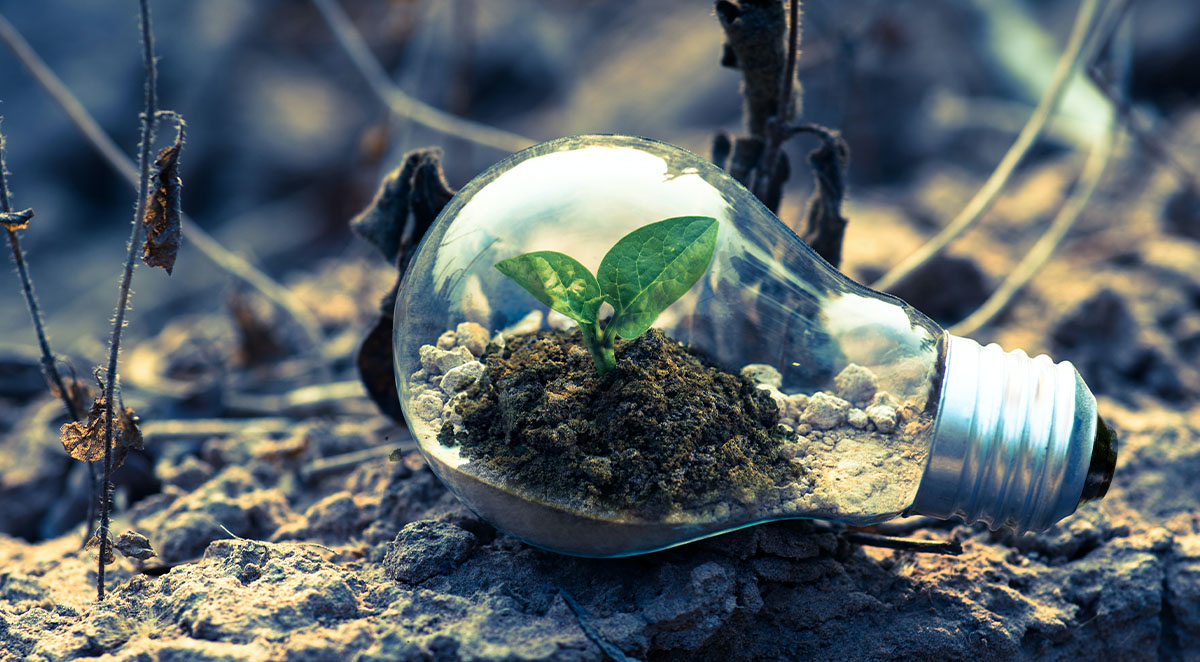 8 Great Ways to Grow a Small Business by Marketing