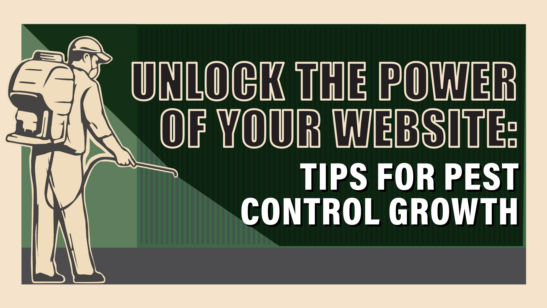 Top Website Design Tips for Pest Control Companies