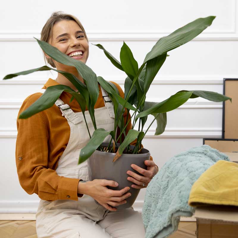Social Media for Pest Control Companies: A Guide image Buyer Persona Example: Homeowner Hannah