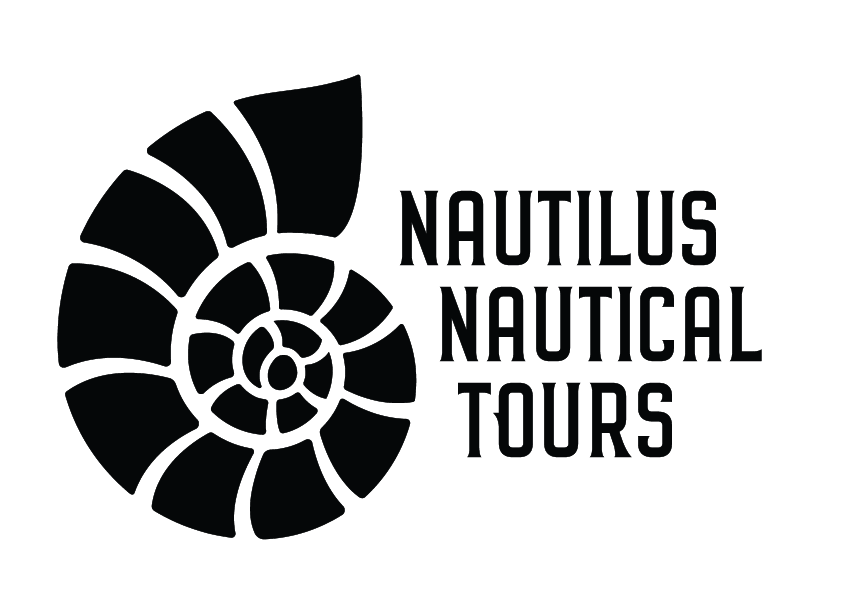 Your Private School: Cube Creative Design & Marketing image Google My Business Nautilus Nautical Tours