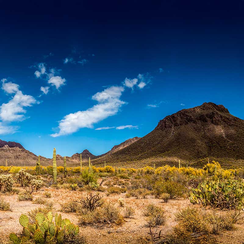 School Marketing in Phoenix, Arizona: Fill More Seats image Phoenix, AZ