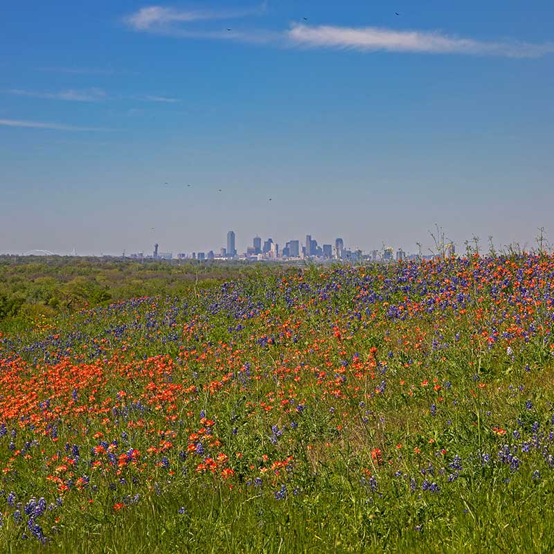 School Marketing in Dallas, Texas: Fill More Seats image Dallas, TX