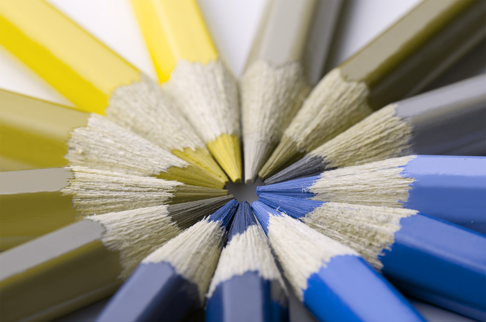 Color and Website: Real Examples From Real Businesses image Protanopia