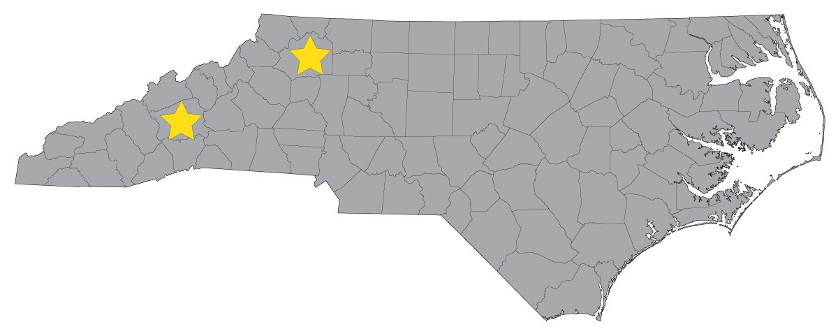 Social Media Tips for Small Business Owners image Helping Businesses in North Carolina - Offices in Asheville and Wilkesboro